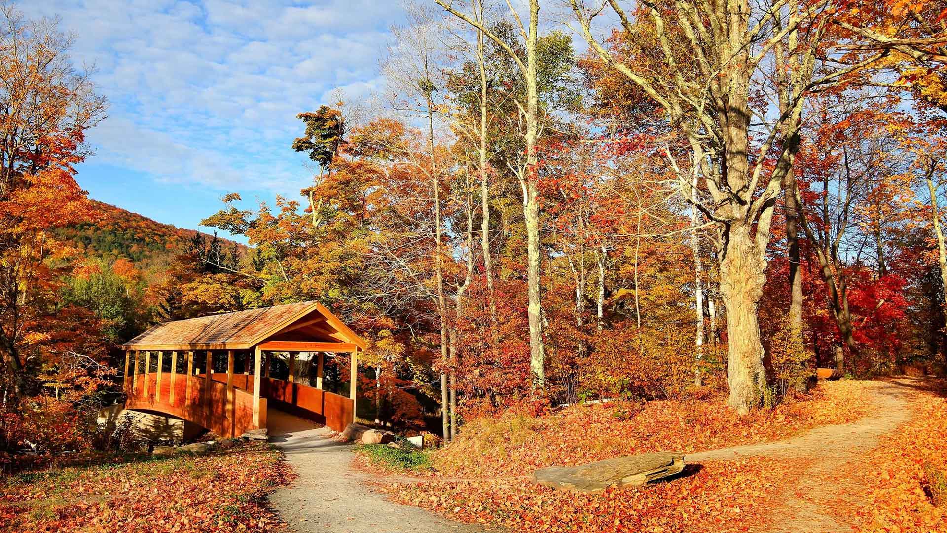 fall path through covered bridge