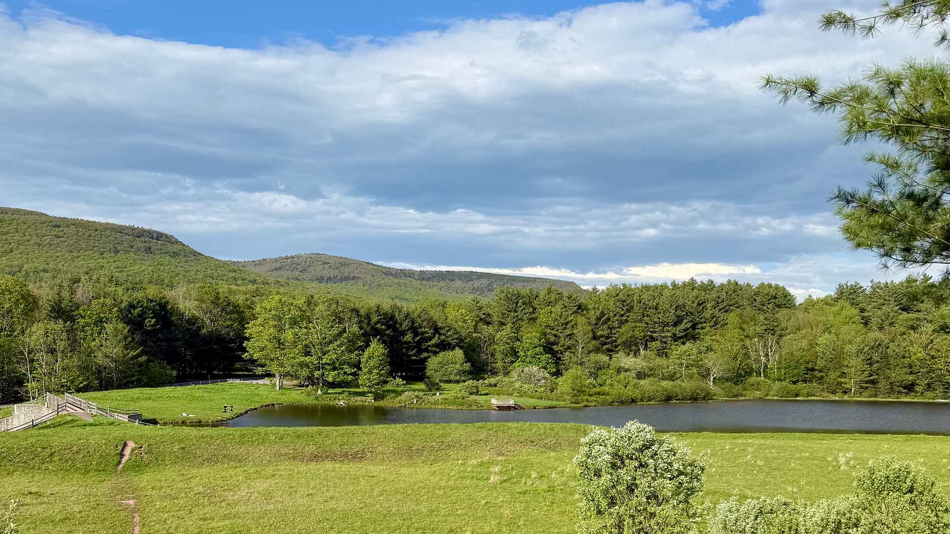 View of Lake Colgate area in Summer