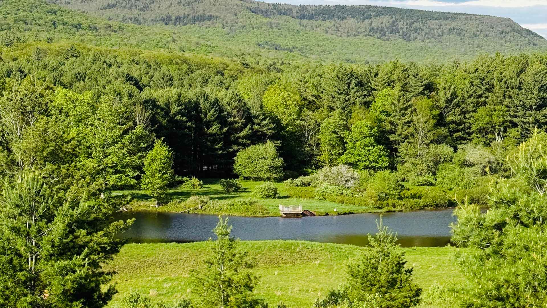 View of Lake Colgate area in Summer