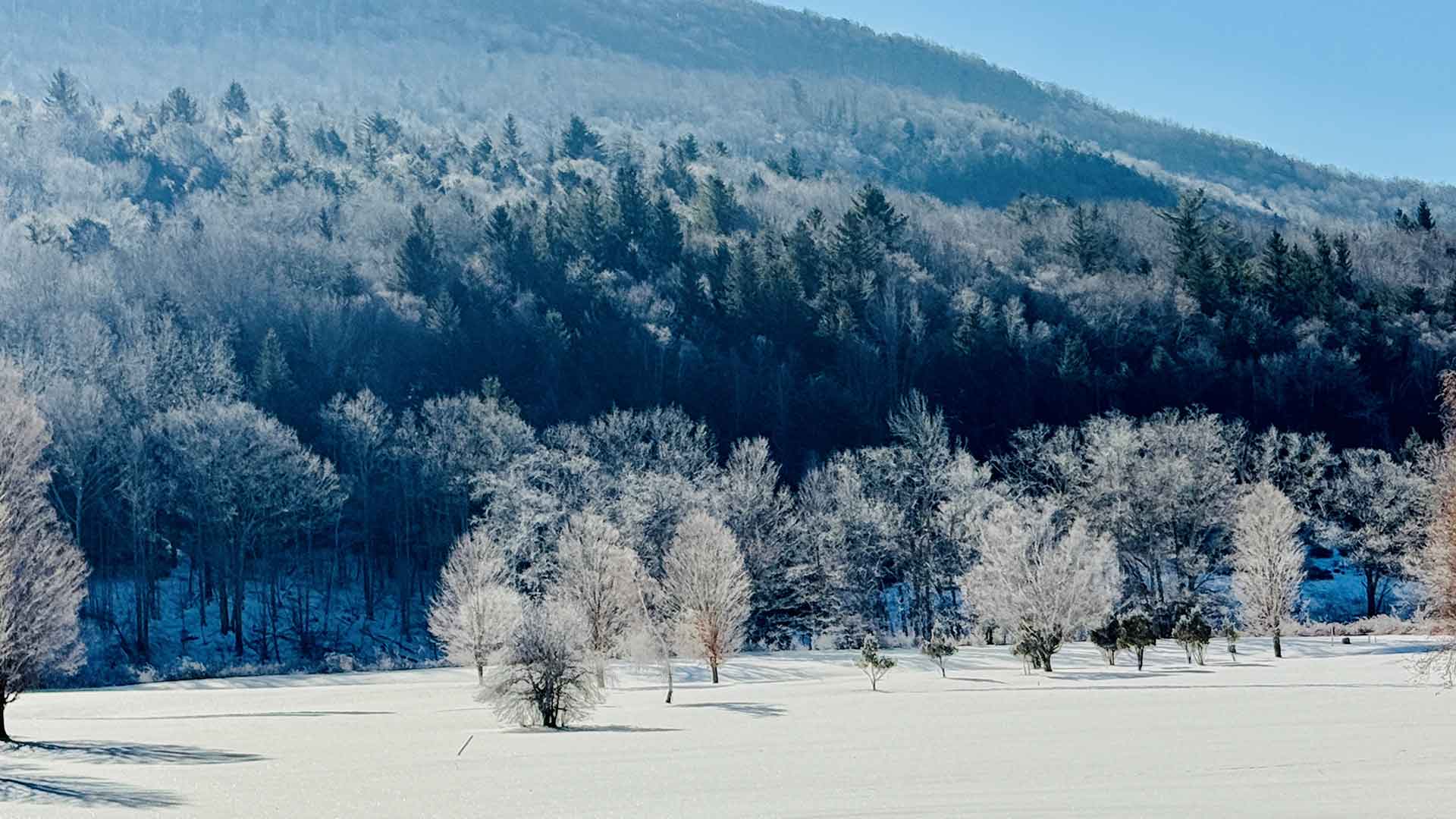 base of hunter mountain in winter